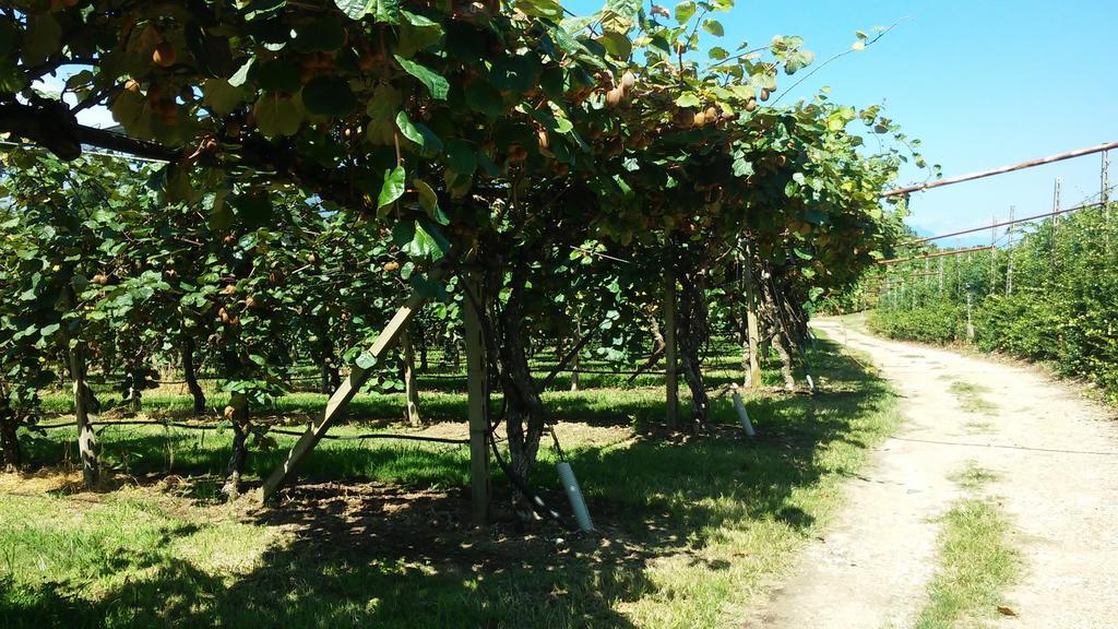 Agroturismo Corte Tonolli Valeggio sul Mincio